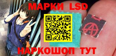 шишки Будённовск