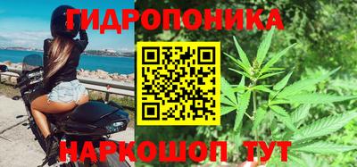 шишки Будённовск