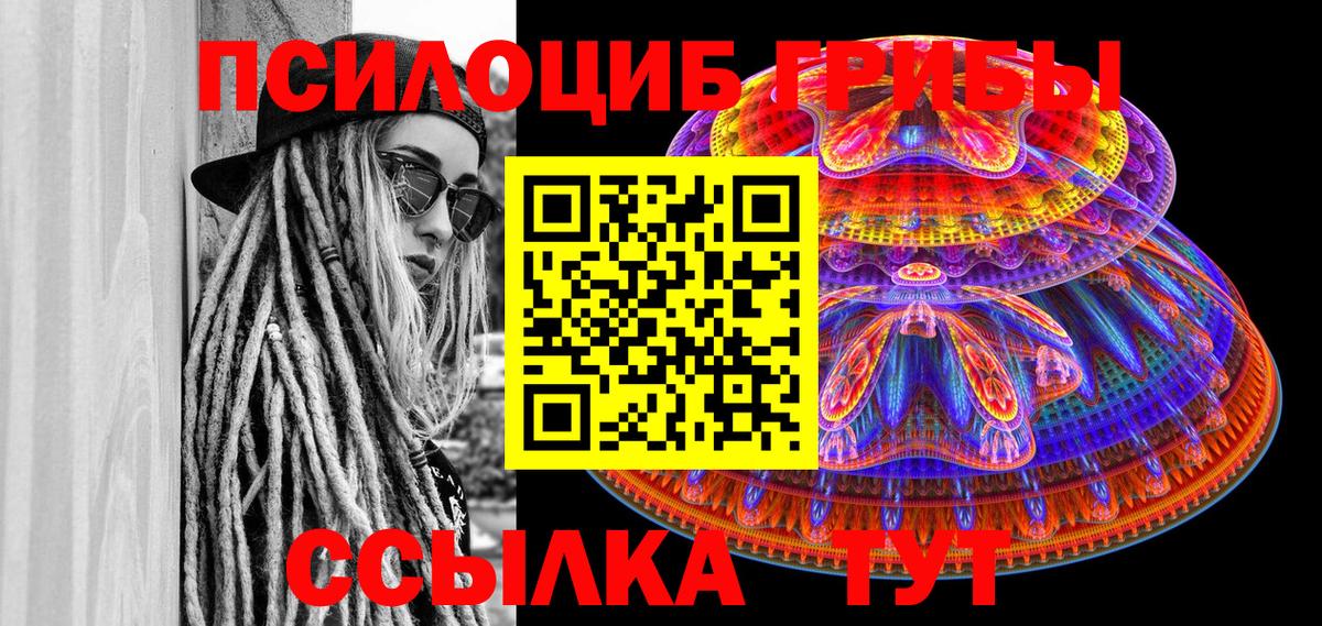 Галлюциногенные грибы Cubensis Сланцы