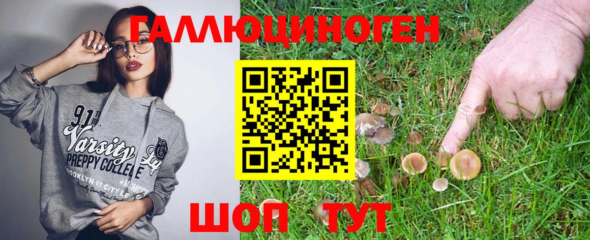 Сланцы  Псилоцибиновые грибы Magic Shrooms  Вход с VPN 